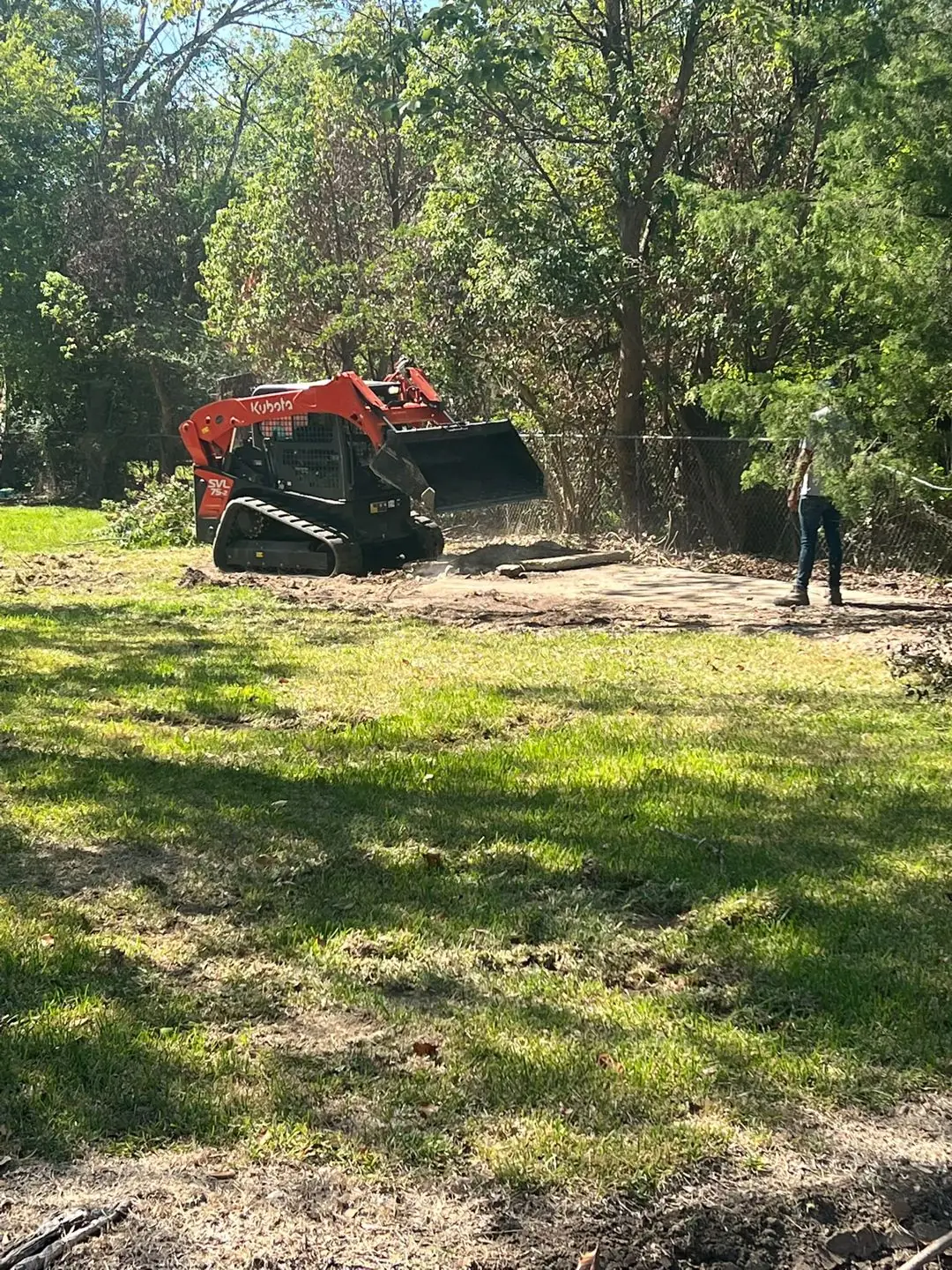 Skid steer clearing brush on a wooded lot